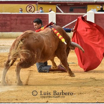 Javier Poley muleta