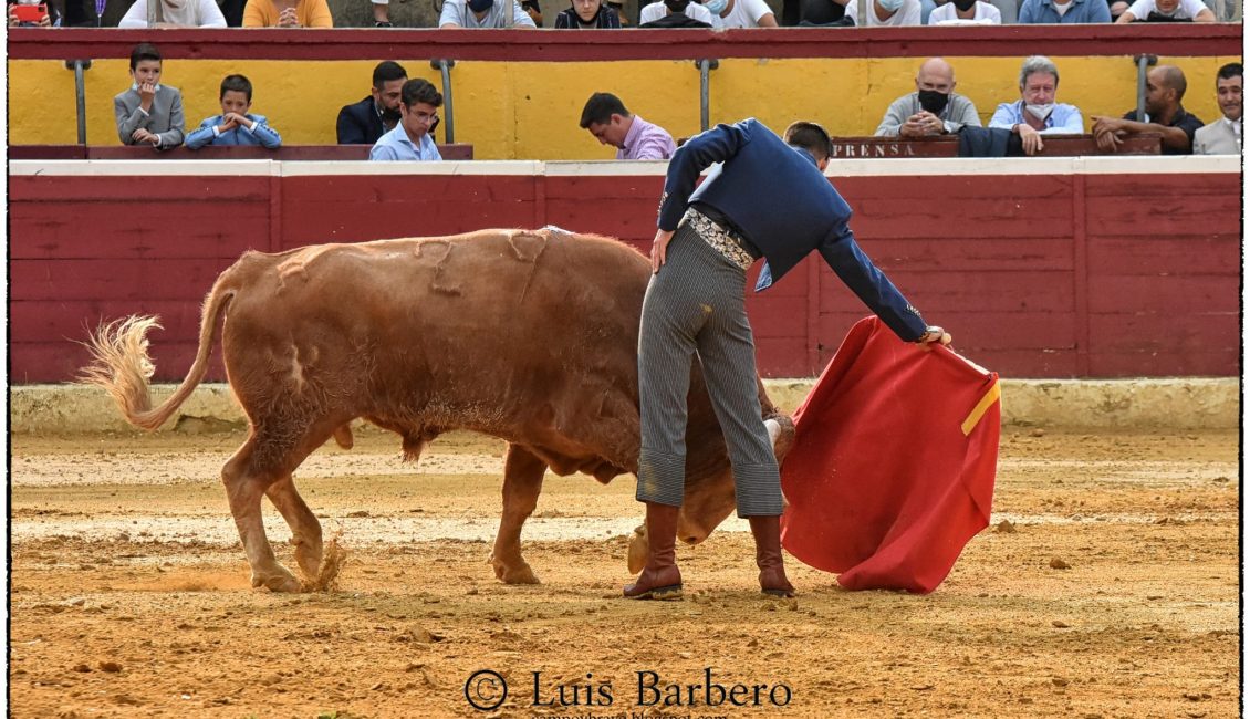 Javier Poley Toreando