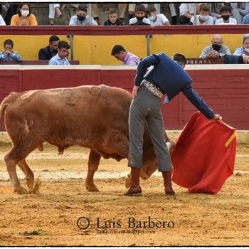 Javier Poley Toreando