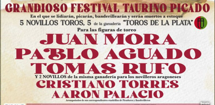 Cartel Toros Ricla